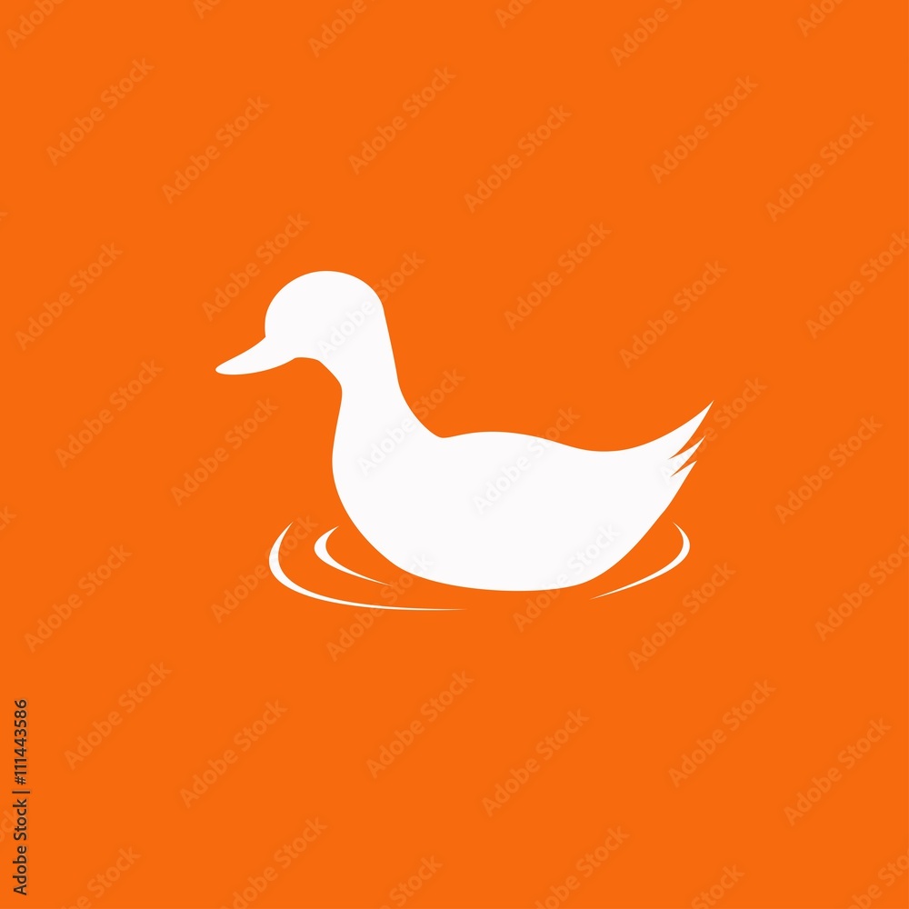 Duck. Single flat icon Duck. Single flat icon