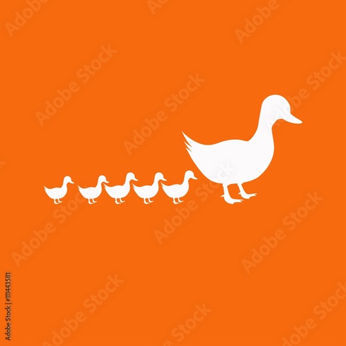 Duck. Single flat icon