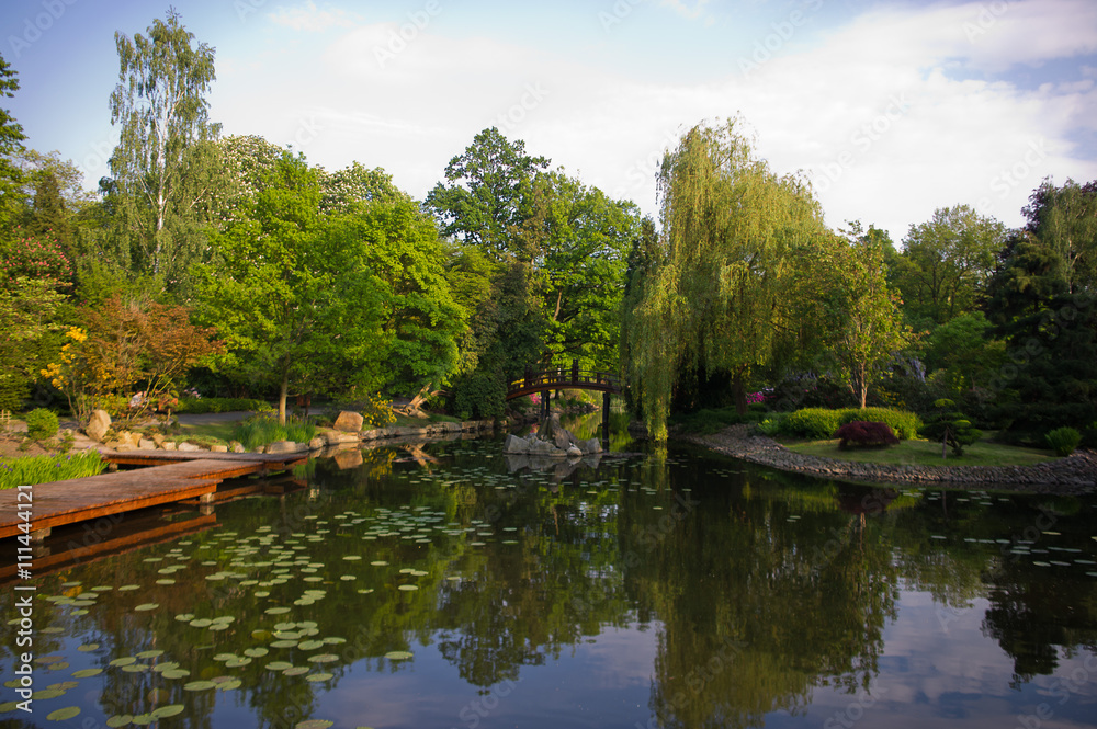 Part of the pond in the Japanese garden