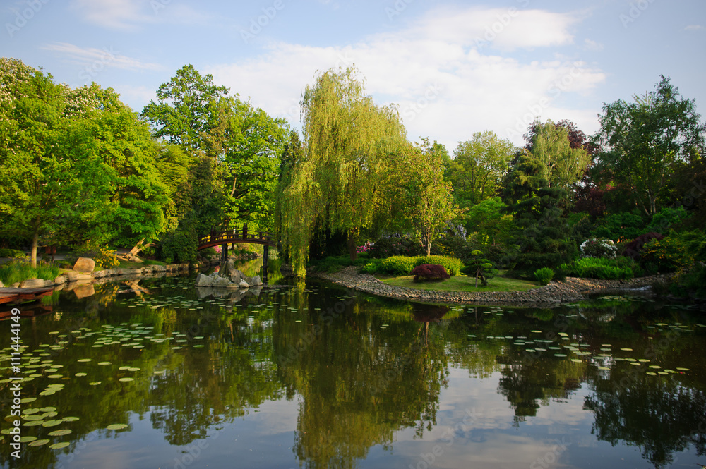Picturesque pond in the Japanese park