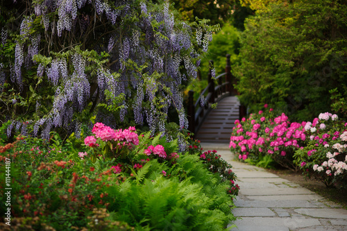The path leading to the bridge