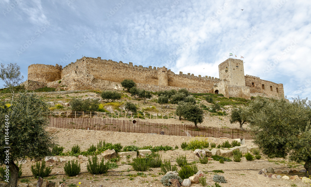 castle in Medellin, Badajoz Province,  Spain