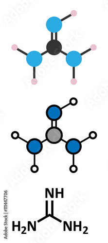Guanidine molecule.