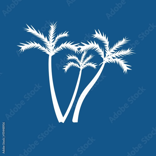 palm icon