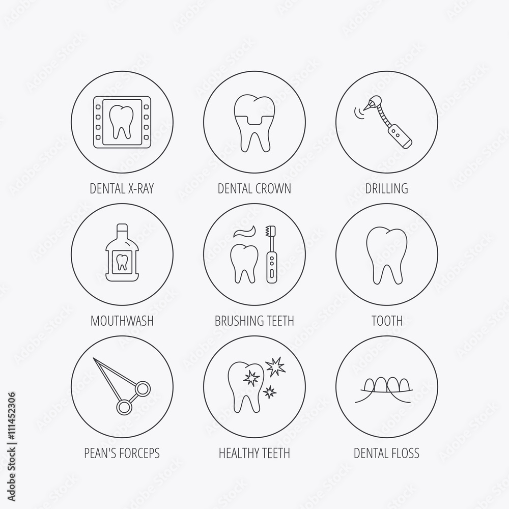 Stomatology, tooth and dental crown icons.