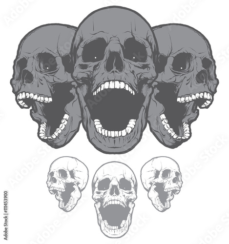 Skulls. Design elements