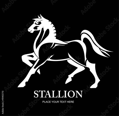 Horse. black stallion. Standing Horse. full body side view of a