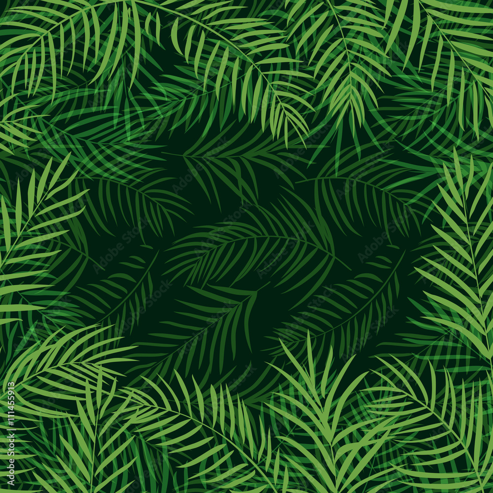 frame tropical palm leaf
