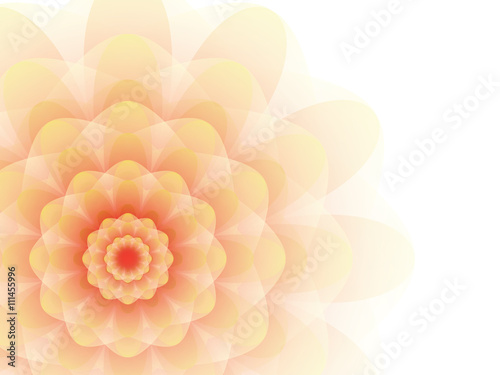 Orange flower on a gray background.