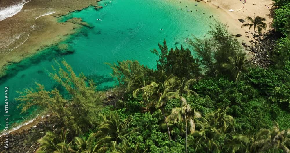 Aerial view flying over coconut palm trees revealing tropical blue lagoon and white sandy beach. Na Pali Coast, Kauai Aerial view flying over coconut palm trees revealing tropical blue lagoon and white sandy beach. Na Pali Coast, Kauai