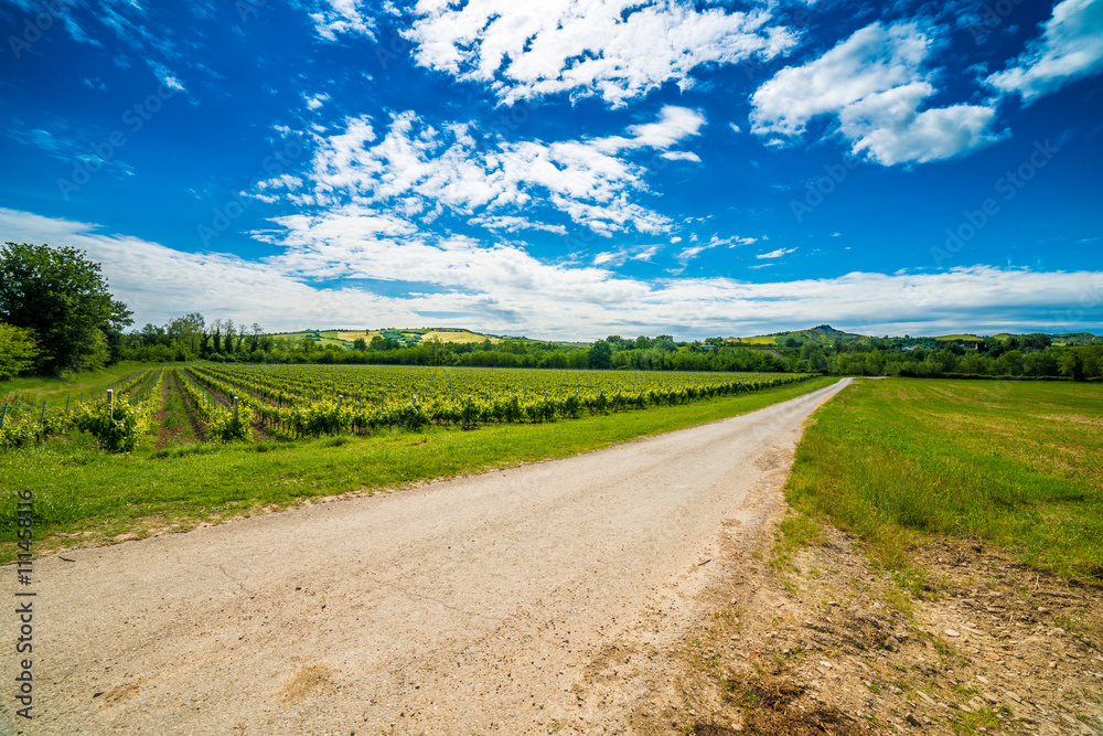 Agriculture on the hills of Tuscany and Romagna Apennines Agriculture on the hills of Tuscany and Romagna Apennines