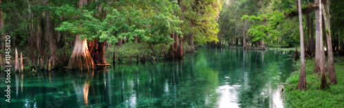 Fotografia Florida spring-fed river panorama
