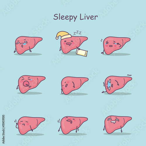 Sleepy cartoon liver set