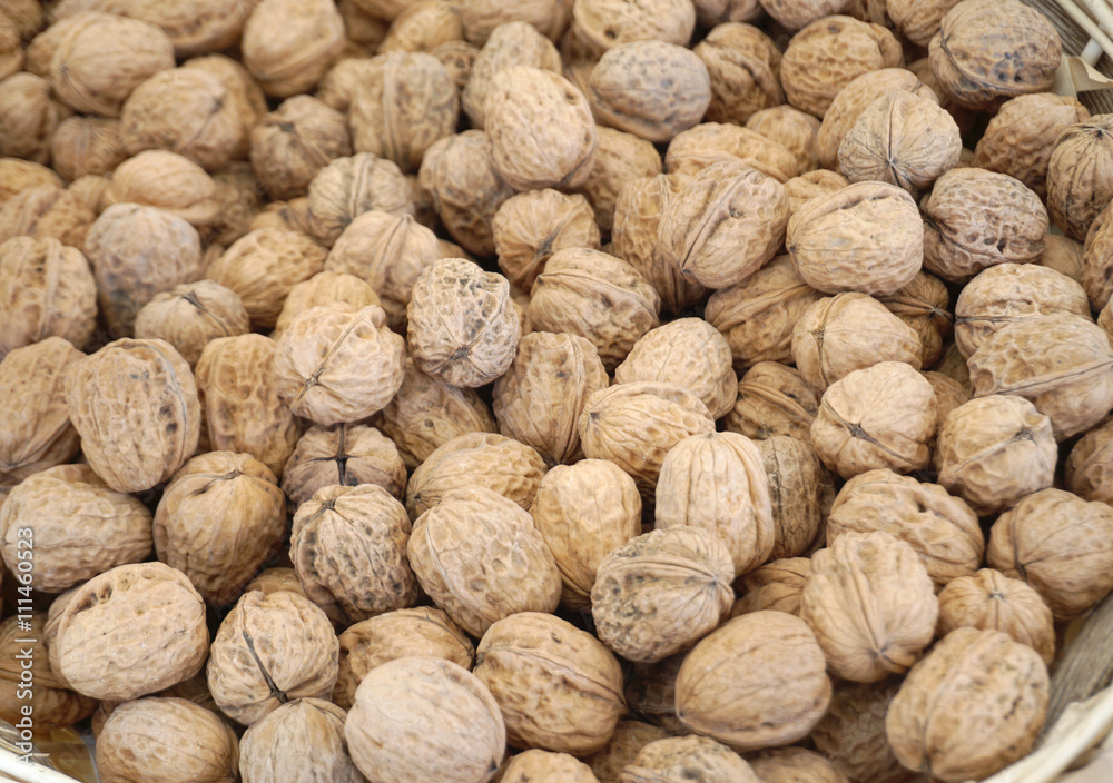 walnuts with shell walnuts with shell
