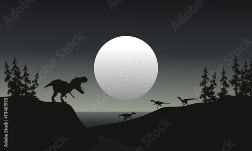 Fotografia, Obraz tyranosaurus reptile illustration silhouette
