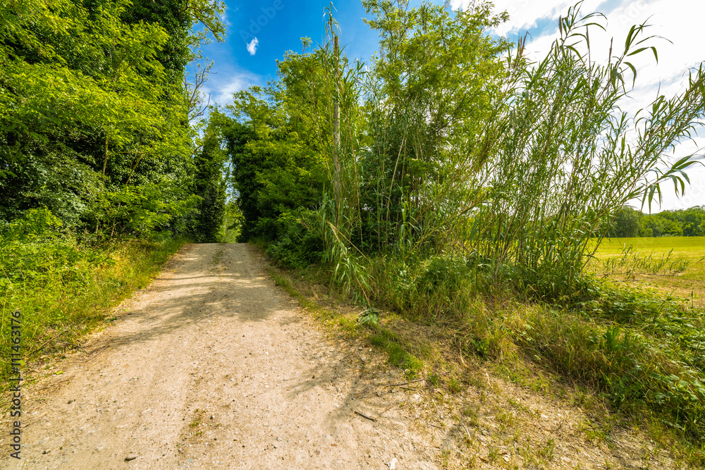 country road