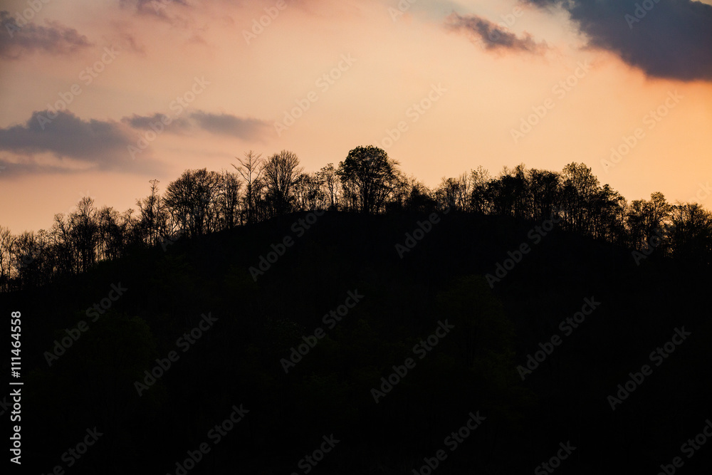 Silhouettes of trees and mountain on sunset