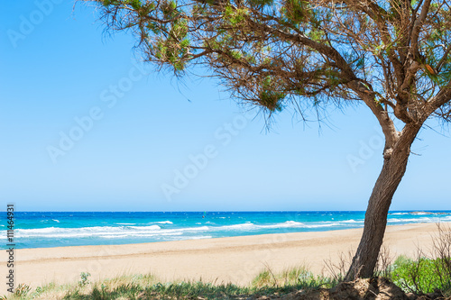 Beautiful beach with blue sea, white sand and trees © smallredgirl