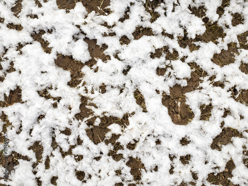 fresh ground snow © Dan Kosmayer