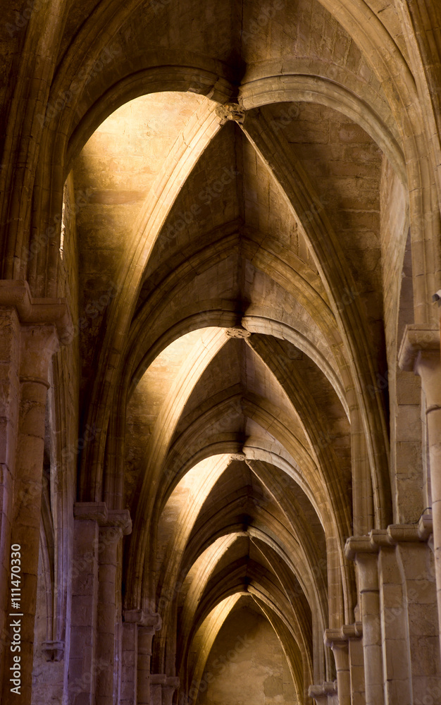 beauty of gothic beauty of gothic