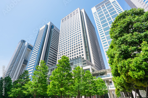 東京　品川　高層ビル　新緑
