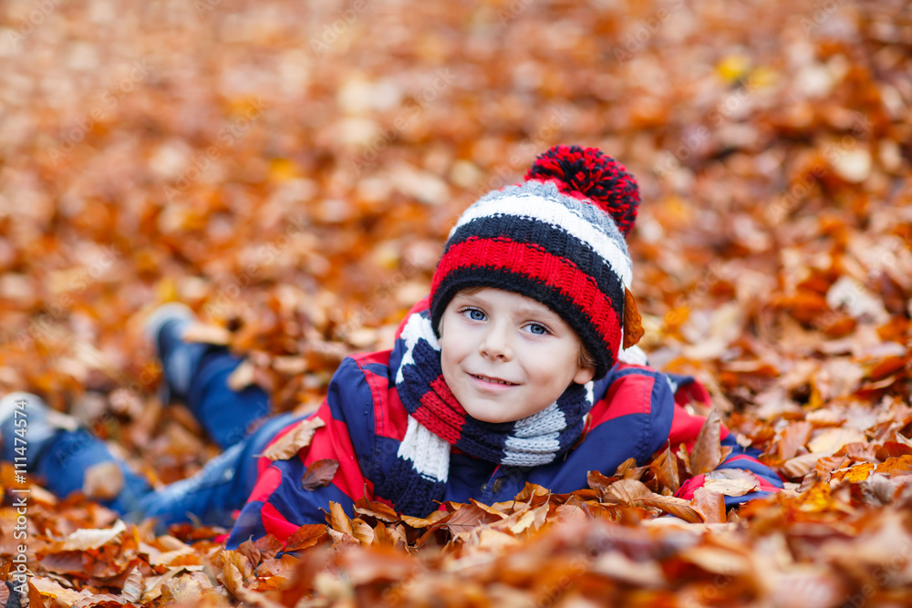 Cute little kid boy on autumn leaves background in park. Cute little kid boy on autumn leaves background in park.