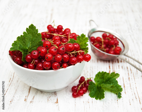 fresh red currant