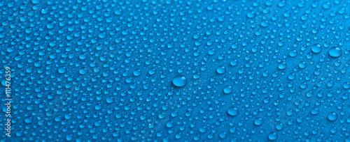 Canvas Print Moist surface
