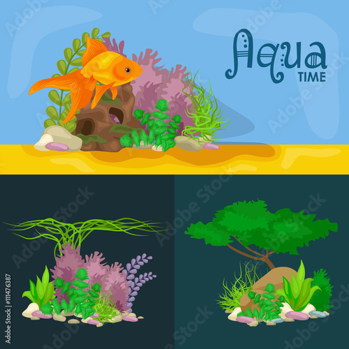 Set isolated colorful corals and algae, Vector underwater flora, fauna.