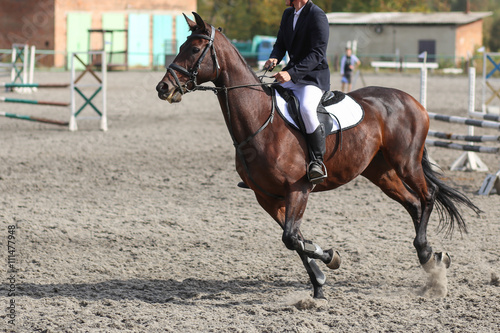 A horse rider in equestrian jumping competition