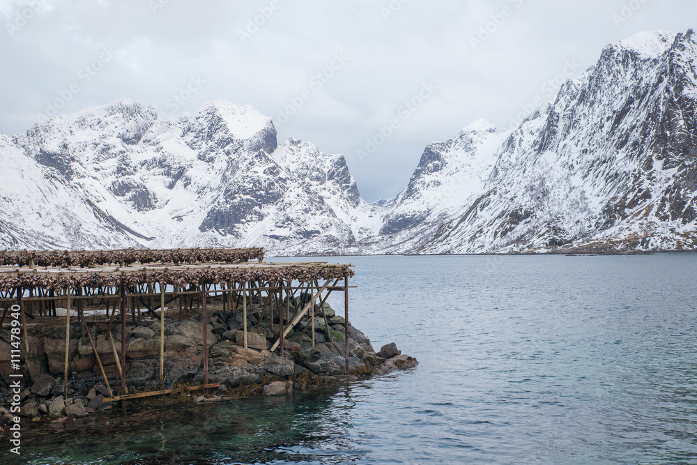 Stoccafisso in essiccazione - Isole Lofoten