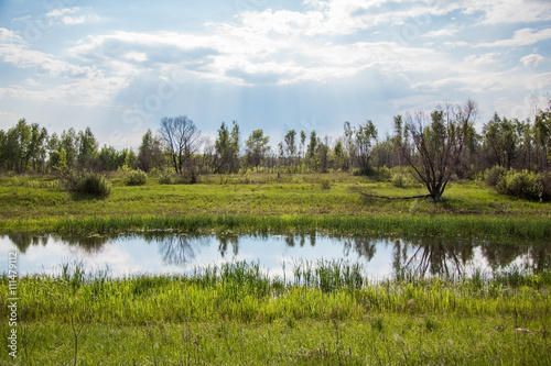 summer landscape and the river