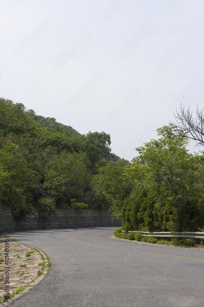 Driving on the long Road in nature.