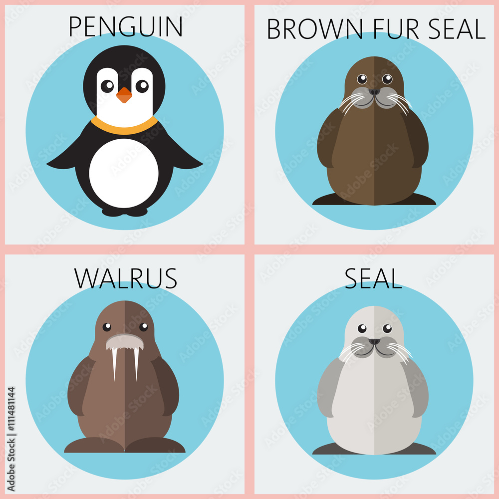 Naklejka premium Abstract illustration with colored sea animals set in round frames, a penguin, walrus, brown fur walrus and seal, over a white background. Digital vector image.