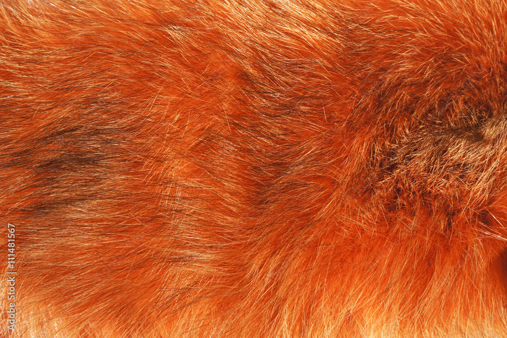 Background red Fox fur. Thick red Fox fur Stock Photo