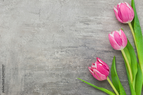 Fototapeta Naklejka Na Ścianę i Meble -  Rosa Tulpen mit Textfreiraum