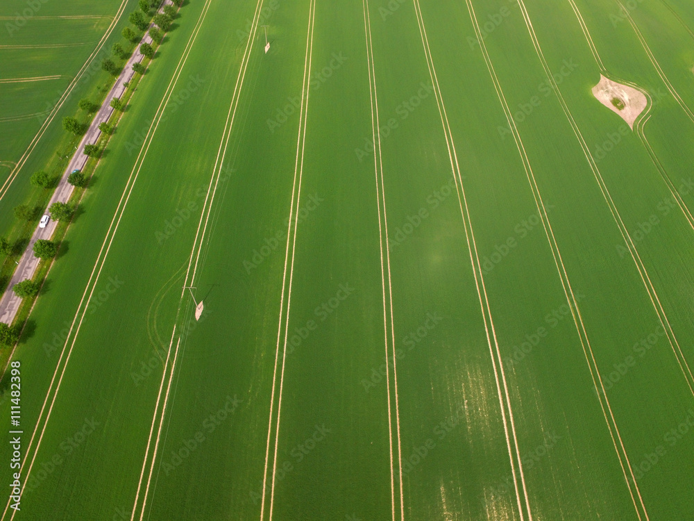 Obraz premium aerial view on a agriculture field - bird view