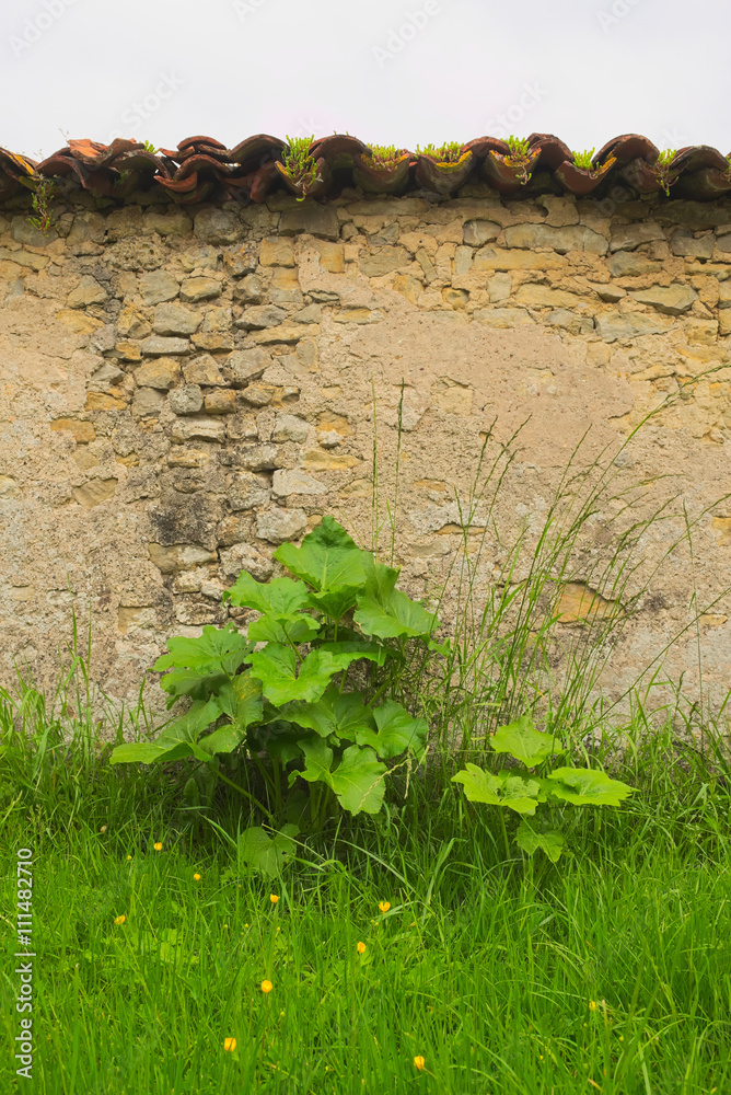 Hintergrund Alte Sandsteinmauer mit Dachziegelabdeckung und Wiese mit