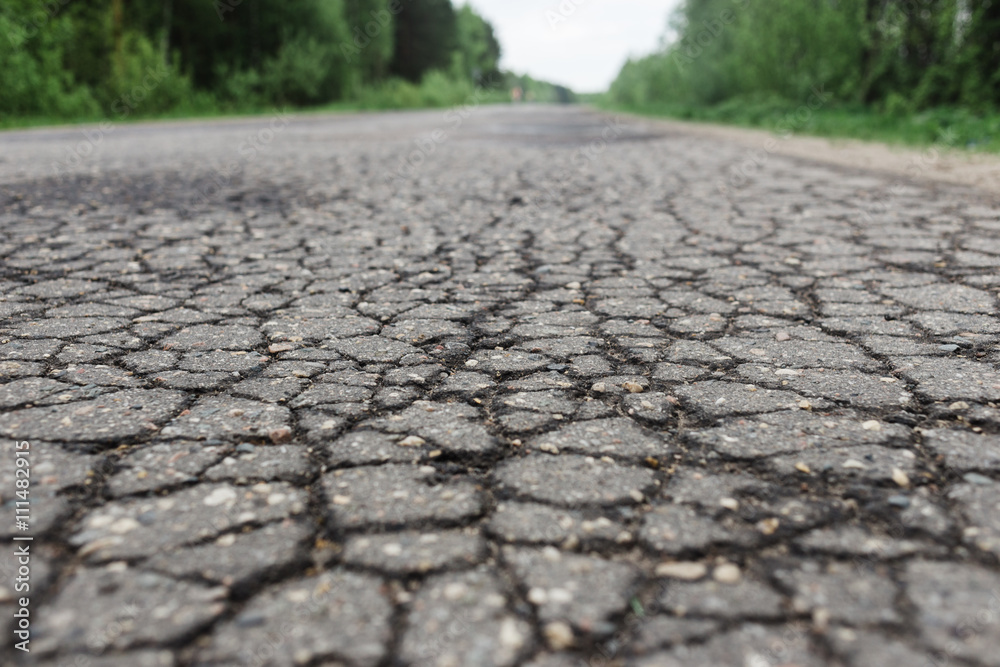 Fototapeta premium Pits of water on the asphalt road in the forest