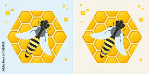 Honeycomb and bee. This is vector illustration of the kind, helpful and sweet product made by nature and of one of the most beneficial insects and insect treatment.