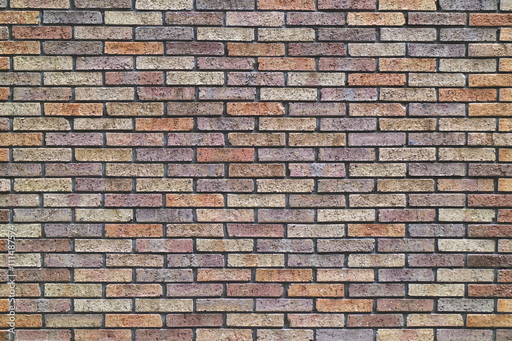 Fototapeta premium レンガの壁の背景素材 Brick wall background