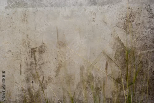 Obraz delikatna trawa na betonowym tle