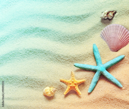 Seashells on a summer beach