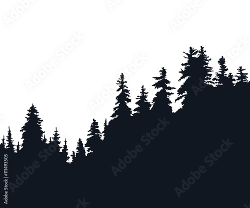 Forest silhouette