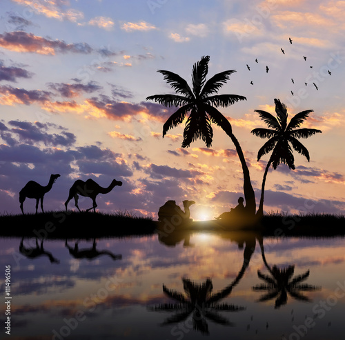 Silhouette of a caravan of camels and Bedouin