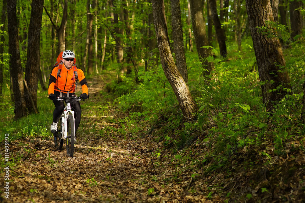 Naklejka premium Cyclist Riding the Bike on a Trail in Summer Forest