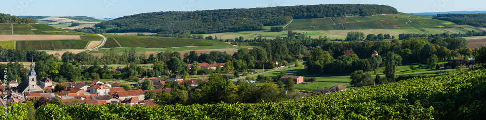 Arrentieres, Champagne vineyards in the Cote des Bar area of the Aube departm