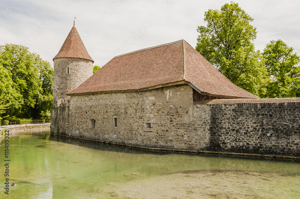 Seengen, Hallwilersee, See, Schloss, Hallwyl, Wasserschloss, Ringmauer, Wassergraben, Burg, Insel, Frühling, Sommer, Aargau, Schweiz