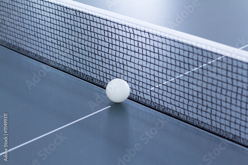 Ping pong: grid and ball © temasurkov