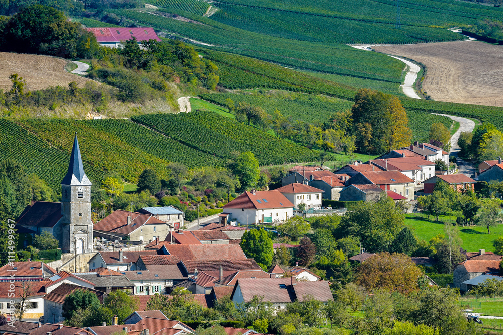 Arrentieres, Champagne vineyards in the Cote des Bar area of the Aube departm